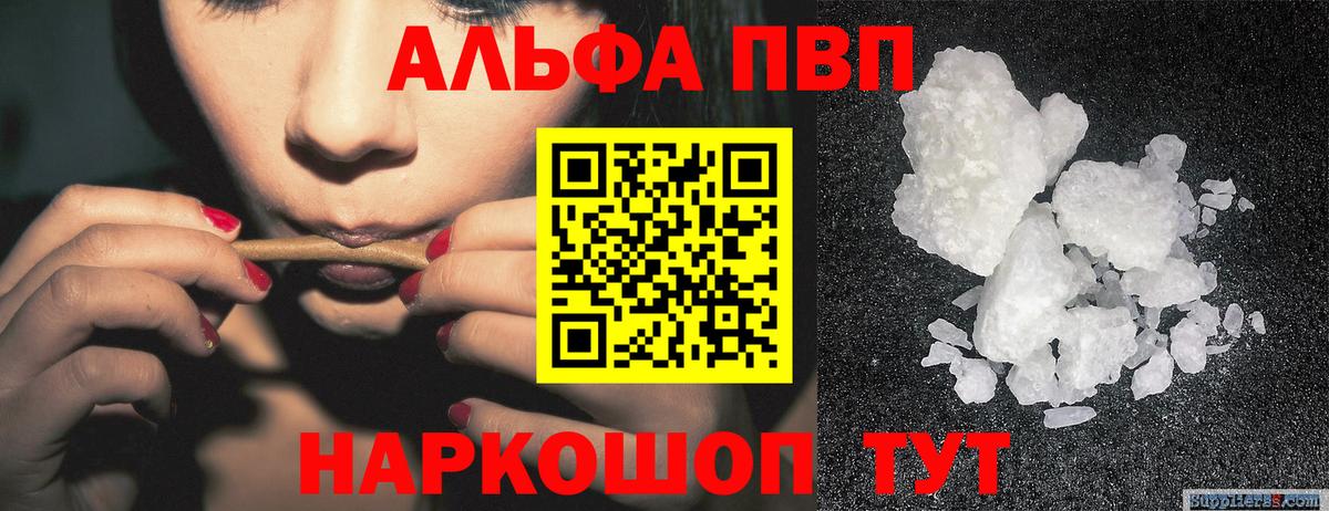 APVP СК Кунгур