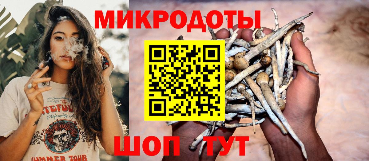 Псилоцибиновые грибы GOLDEN TEACHER  Вход с VPN  Галлюциногенные грибы Psilocybine cubensis  Кунгур 