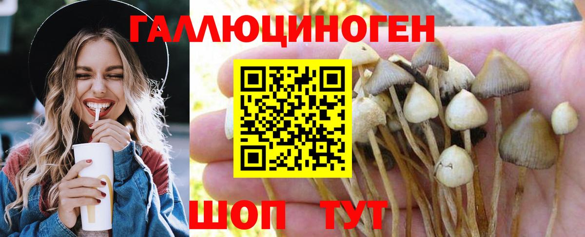 Галлюциногенные грибы мицелий Кунгур